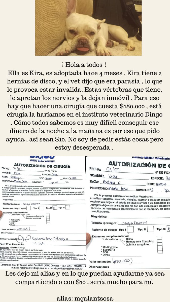 SosaGMicaela's tweet photo. Hola, necesito ayuda !!!!! Estoy desesperada @VivireNuevaCba @VivirEnNuevaCba https://t.co/pKmkDhjy5q