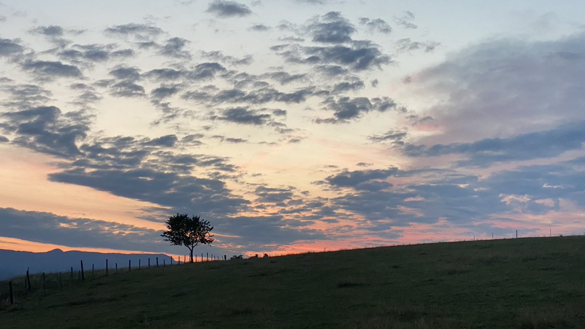 Good morning #Switzerland