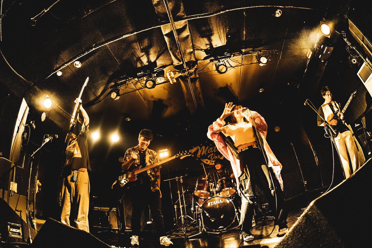 ISOLATIONS tweet media