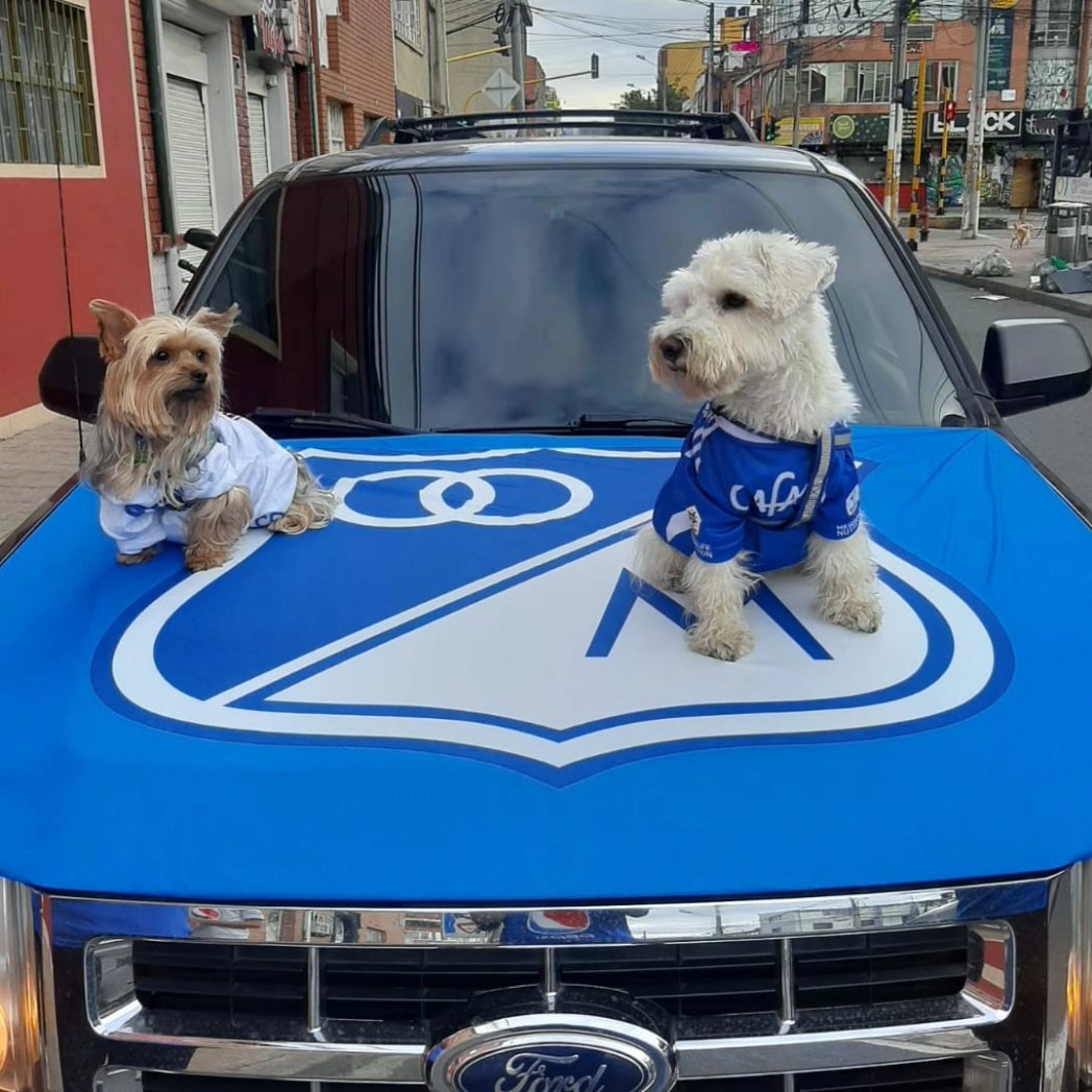 MILLOS__MILLOS's tweet photo. @MillosFCoficial Feliz día amigos 🐶🐾Ⓜ️ https://t.co/hkIxpGfp87