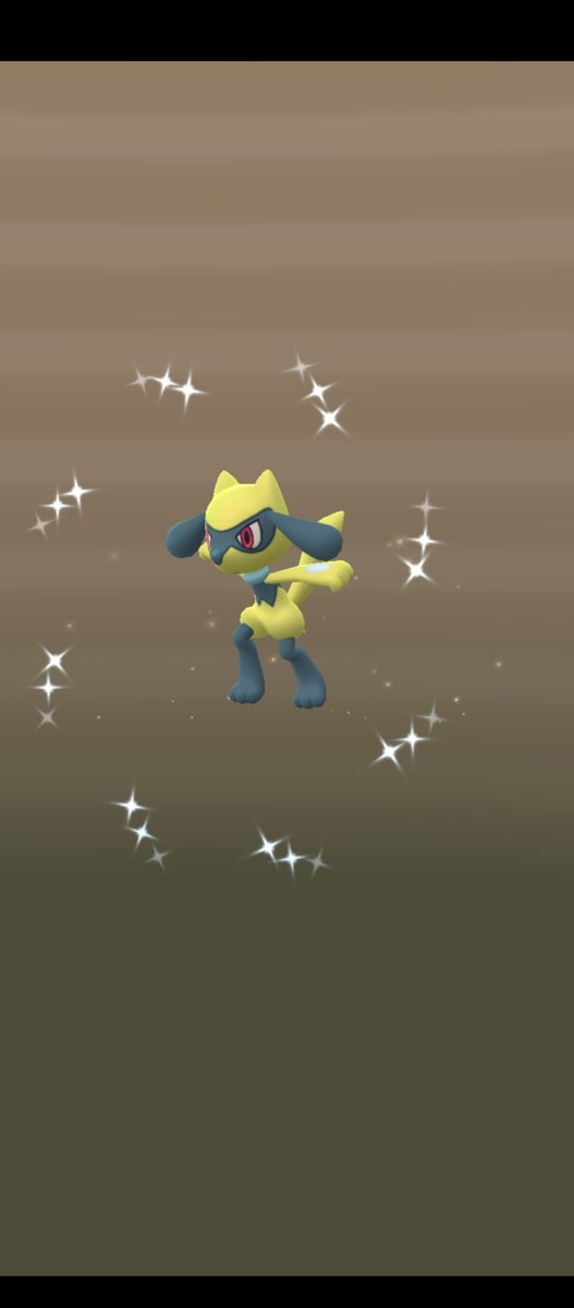 Shinyshanaya's tweet photo. WTFFFFFFFF 🤩🤯 4 in a row 🤯🤩 

#PokemonGO #shinyhatch #riolu #letsGo https://t.co/nLg5IhCC7T