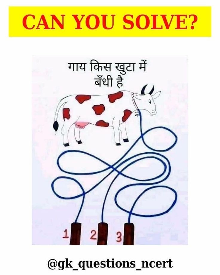Anamika Thakur tweet media