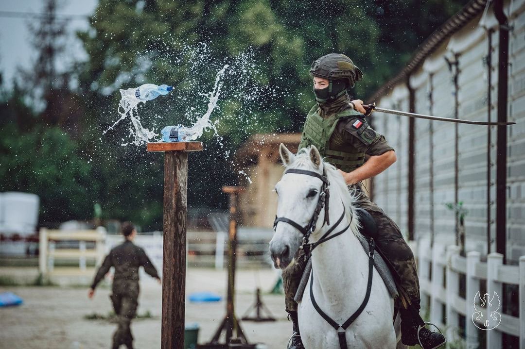 modern armored horse