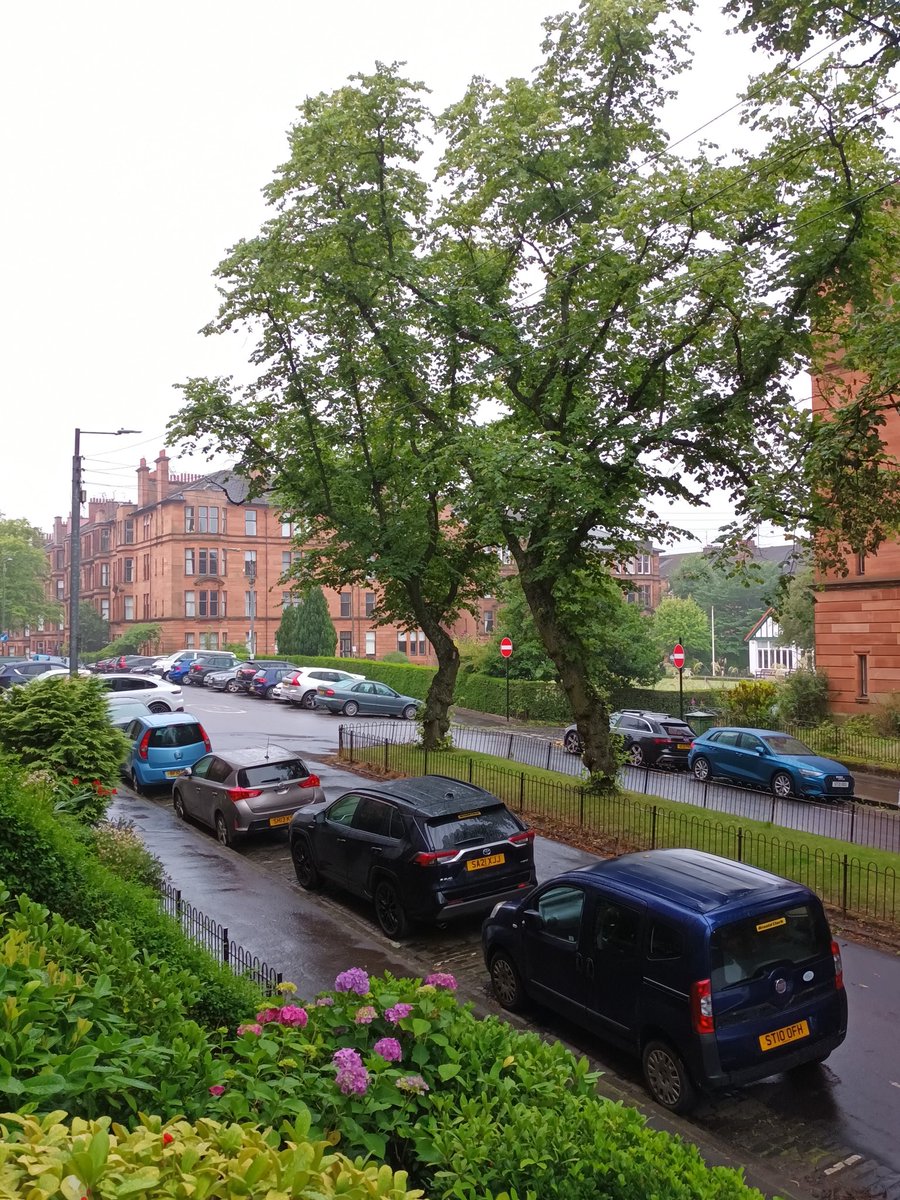 Dougie Wylie tweet media