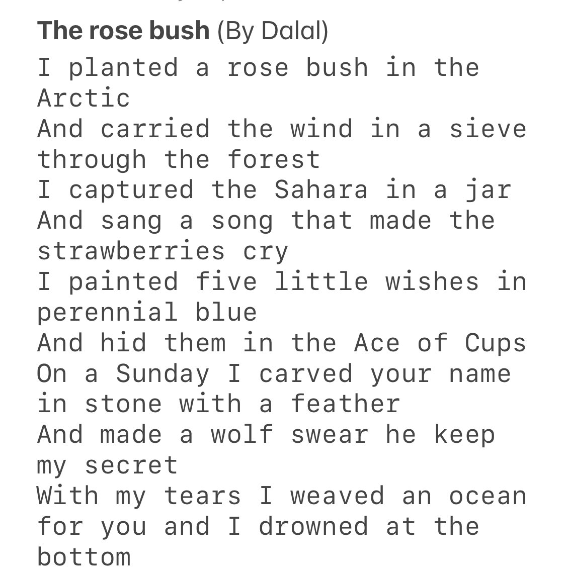 #TheRoseBush