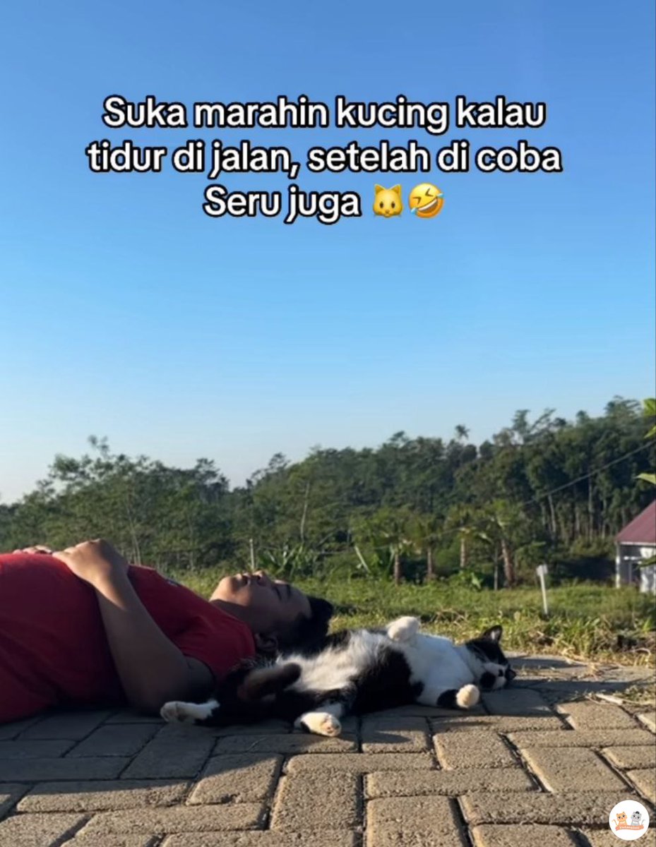 'emang manusia tuh kalo belum ngerasain nikmatnya suka judging' — 🐈