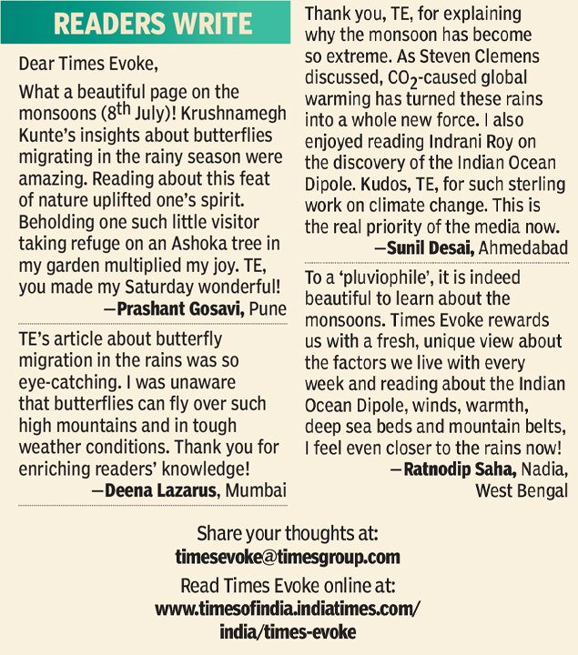 #TimesEvoke | Small #fireflies light up entire #forests with their glow — but they perish facing artificial lights

<a href="/atrpollachi/">Anamalai Tiger Reserve</a> <a href="/IUCNFireflies/">IUCN SSC Firefly Specialist Group</a> #Anamalai #nature  <a href="/sriram_p_murali/">Sriram Murali</a>  

toi.in/YeE6xY47/a24gk