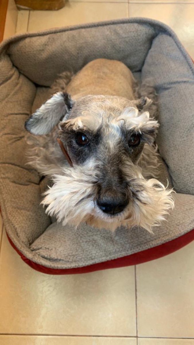 Rubric Cube tweet media