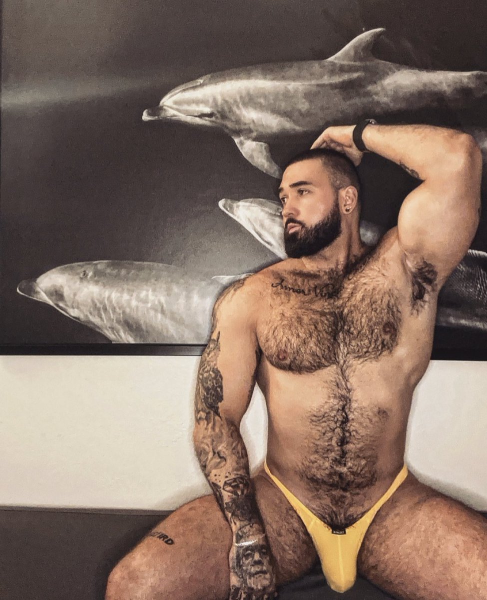 ALAN WOLFE tweet media