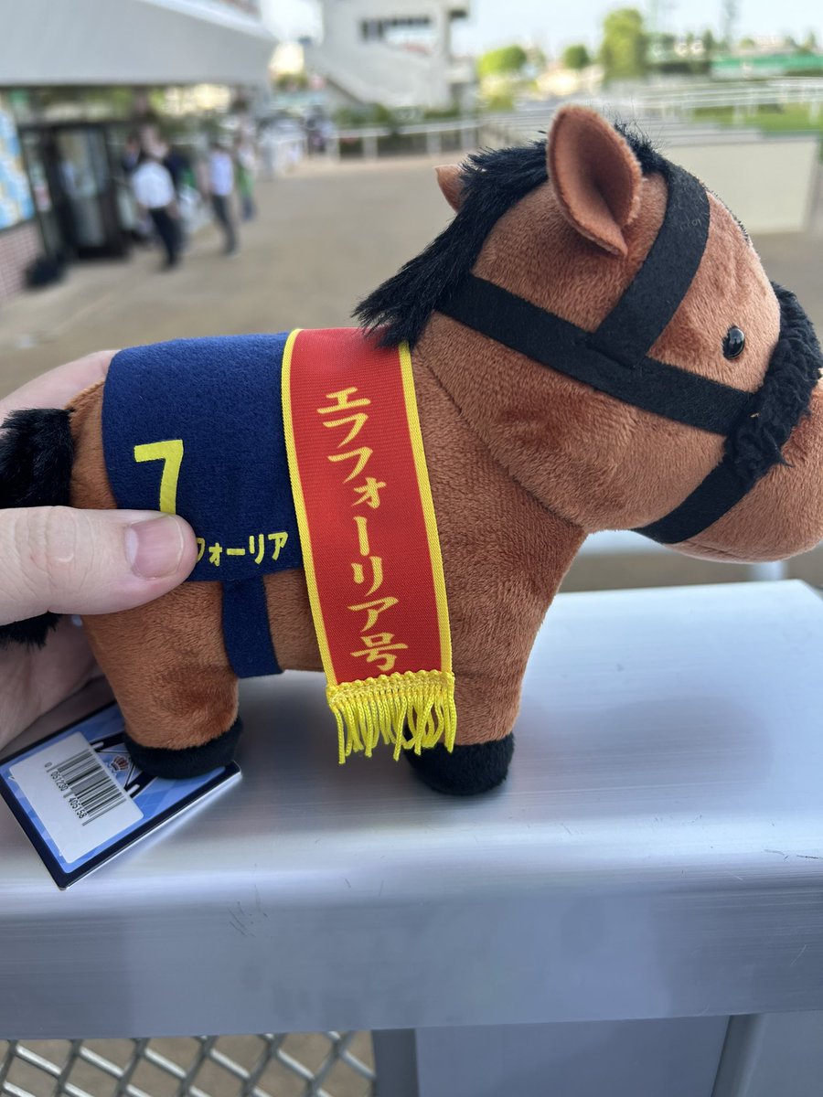 卍北海道在住の猫卍 tweet media