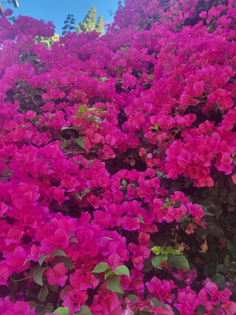 angela-o-on-twitter-saludos-this-is-part-of-half-block-of