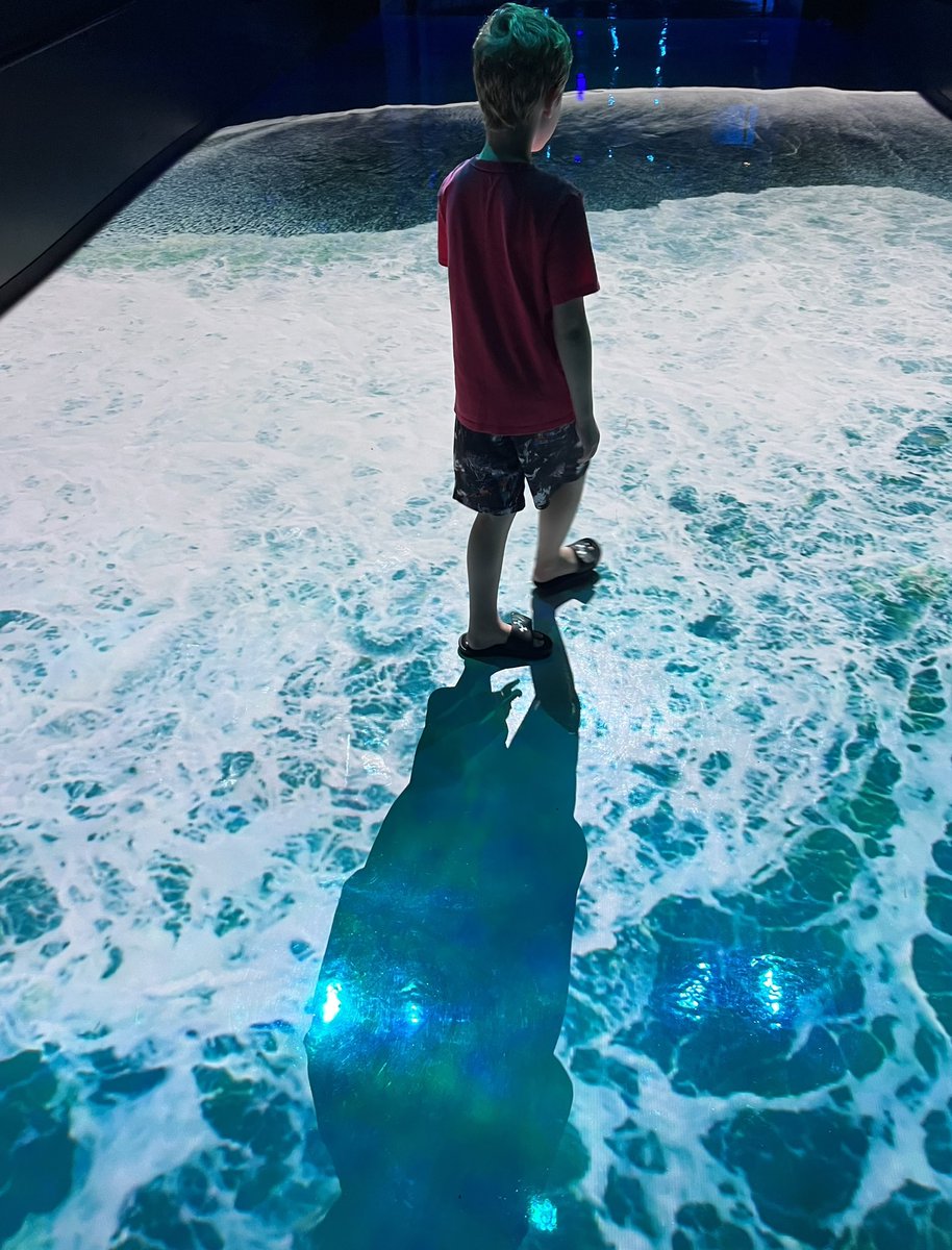 @203ProjectIdea tweet media