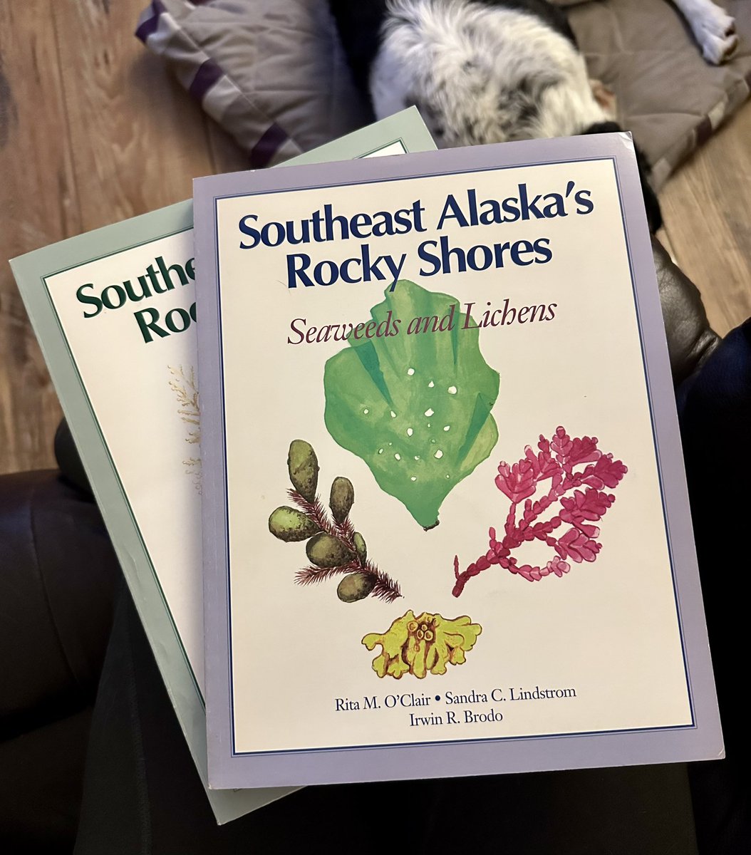 Finally got a hold of these classics; happy #phycologyfriday to me! Now I need to put them somewhere safe. 🤔