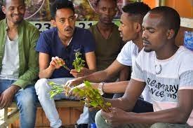 desterdubs's tweet photo. @Geebaba208 @keino2ke @Wesley_Kibande " You don't want an angry luo with a. Ak-47 in his hands. Be very careful with your wishes my boy! " https://t.co/O36ddnTLky