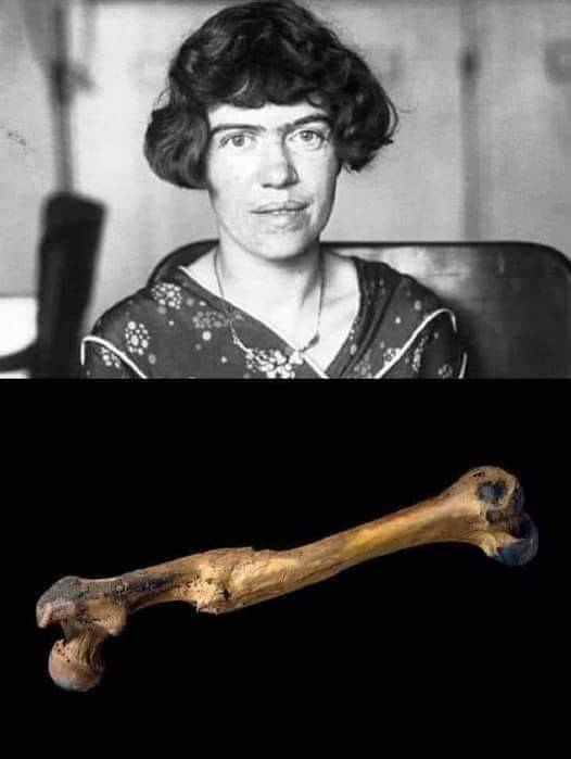 jollyjoylavraie's tweet photo. « Un étudiant a demandé un jour à l'anthropologue Margaret Mead ce qu'elle considérait comme le premier signe de civilisation dans une culture. L'étudiant s'attendait à ce que l'anthropologue parle de crochets, de bols en argile ou de pierres à aiguiser, mais non; Mead a dit que https://t.co/ewkrZ9qlAk