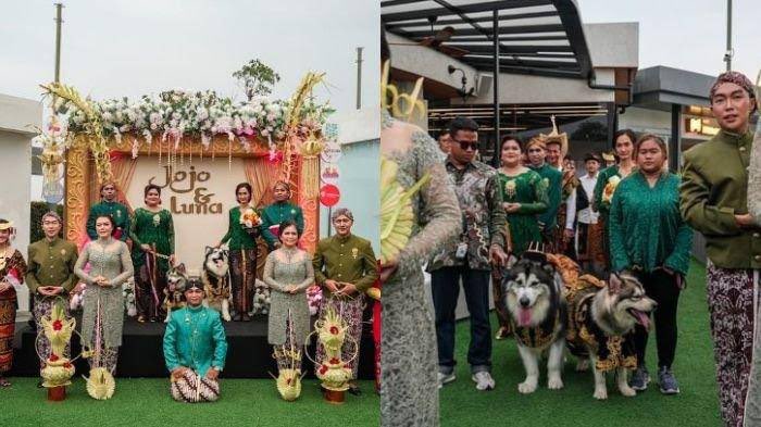 paksiraras's tweet photo. MANTEN ASU JAWA - Utas

[UNPOPULER DATA]
Ijinkan saya menghadirkan tawaran perspektif lain, tentang polemik manten asu yg memakai busana ‘adiluhung’ Jawa. Di akhir utas, silahkan tentukan opinimu sendiri https://t.co/WSj9TyfmBP