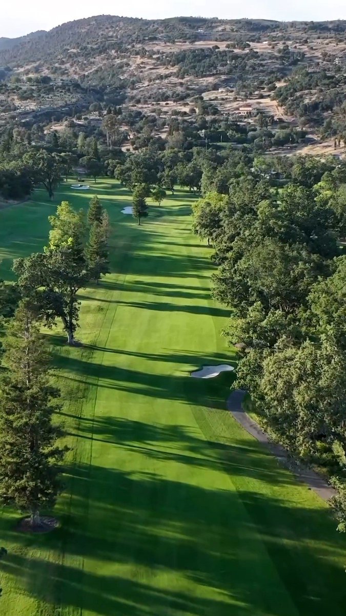 Just one more week until the #bluenotejazzfestival🎷😎 

Over 40 artists, dozens of culinary offerings, and the festival's first wine garden (psst: you may even get a pour from Dwayne Wade🍷) 

📽️: @bluenotejazzfestival