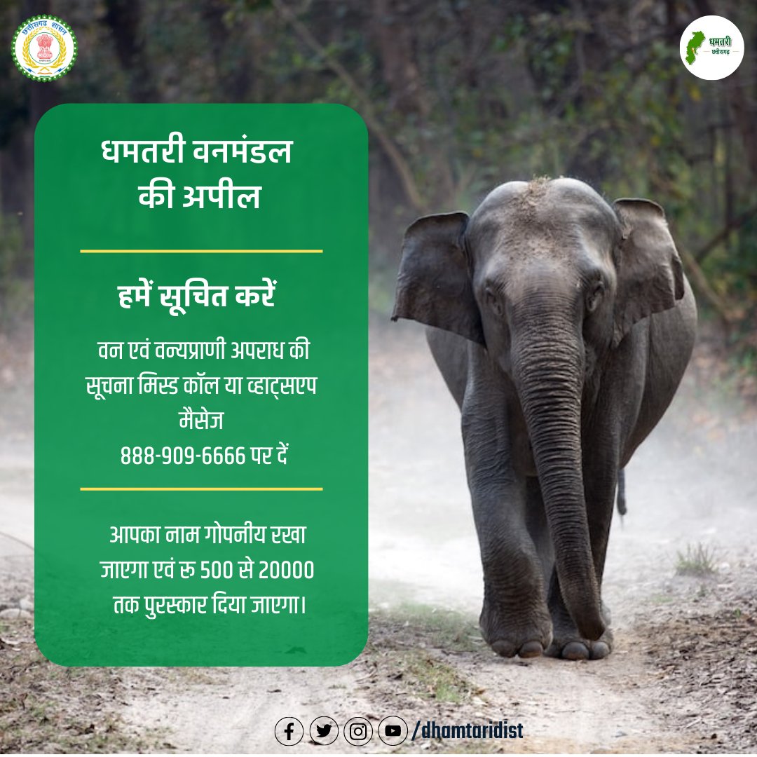 DhamtariDist's tweet photo. जिले के समस्त नागरिकों से धमतरी वनमंडल की अपील।
#conserveforest
#wildlife
#dhamtari https://t.co/GNkDuabqTv