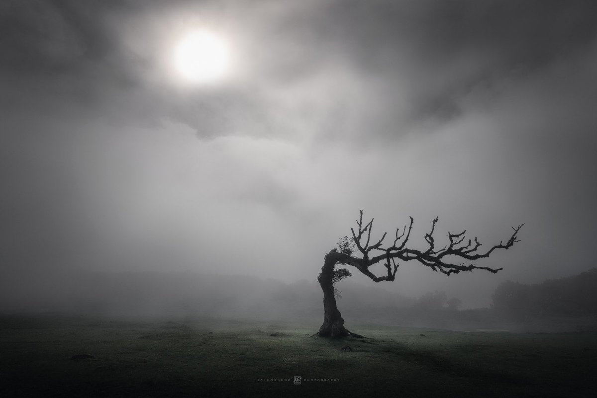 Tim Burton (2018)

Sometimes life tries to bend you.