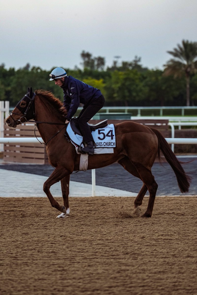Good luck today LADIES CHURCH!

<a href="/JohnnyMurtagh/">Johnny Murtagh</a>'s G2 Blue Point Sprint second runs in the G2 Sapphire Stakes <a href="/curraghrace/">The Curragh Racecourse</a>.

🕕 6:10pm UAE
