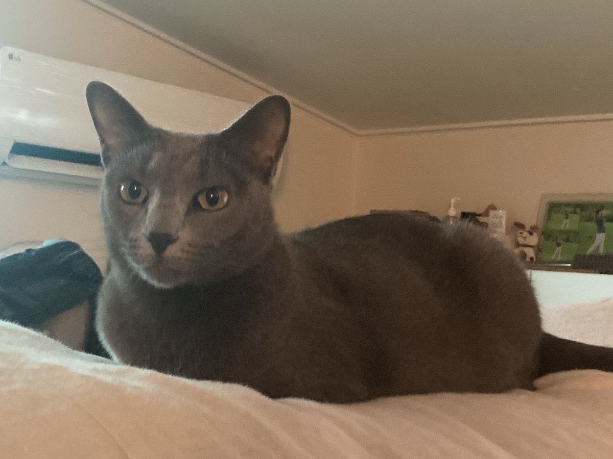 #카엘아셀카여기
남찍산데 잘 나왔지~~?^^