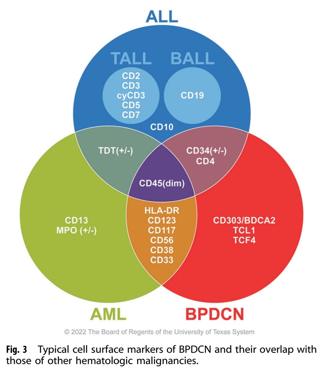 Very nice flowcytometry
With BPDCN CD123, CD4,CD56 I.e from 1 to 6
and CD303 , TCL1