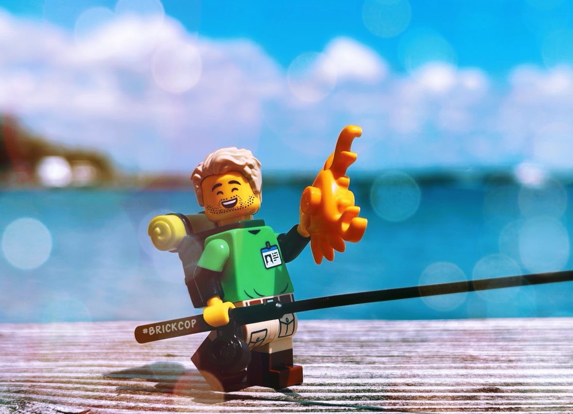 Brick Cop©️ tweet media