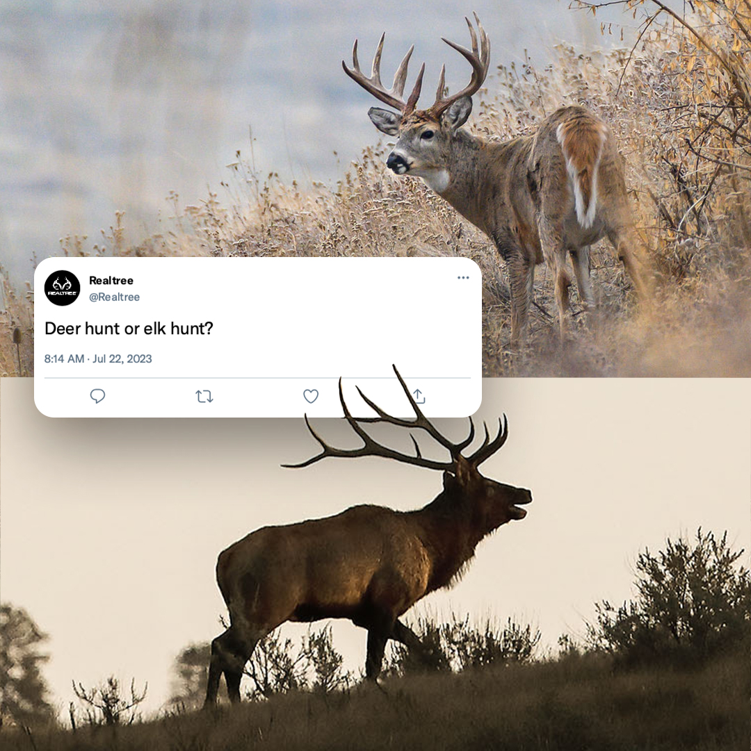 Realtree tweet media