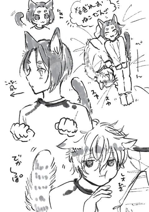 ngro ※獣人化
ねこねこ落書き 