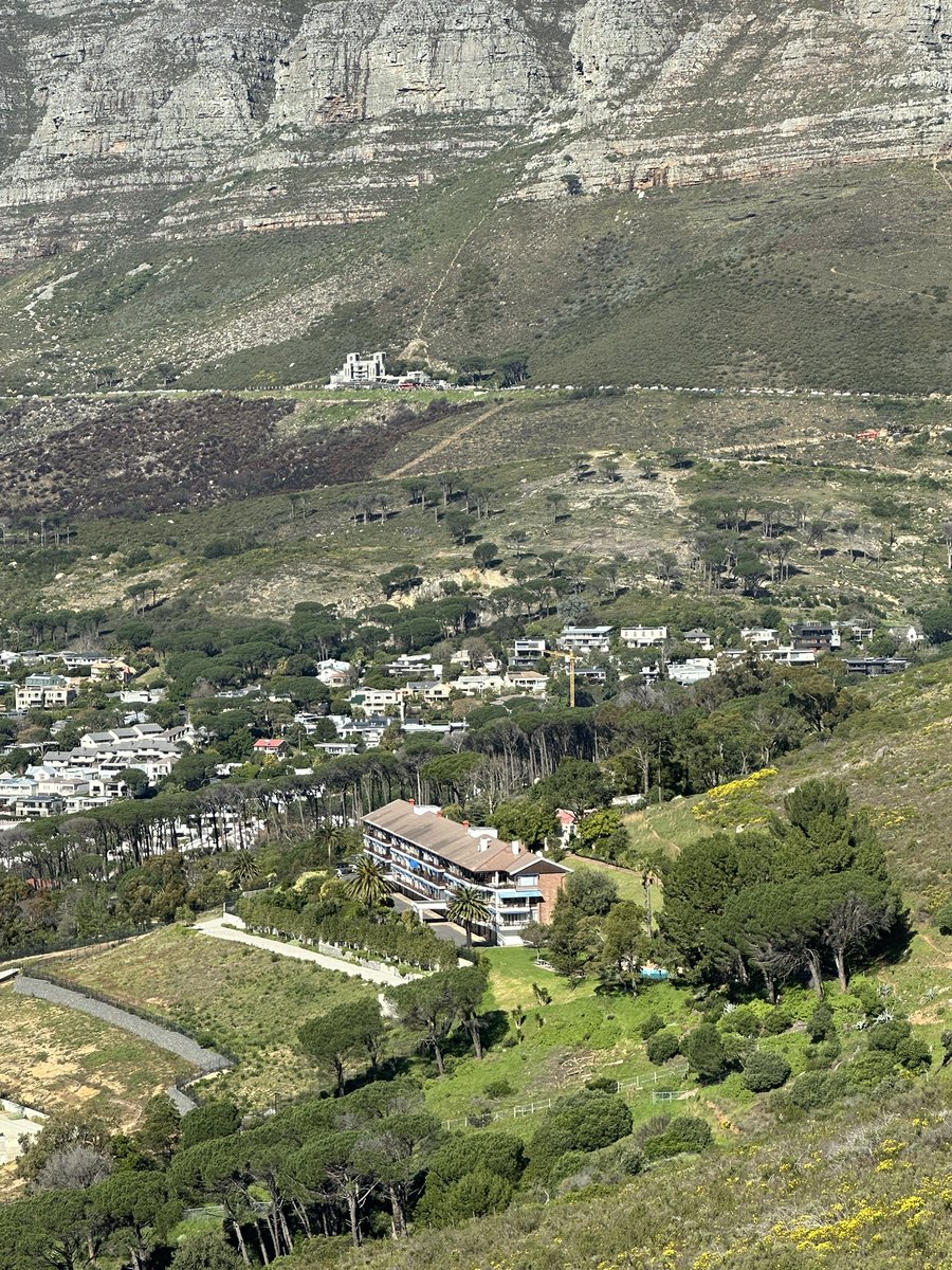 Sam Linsell tweet media