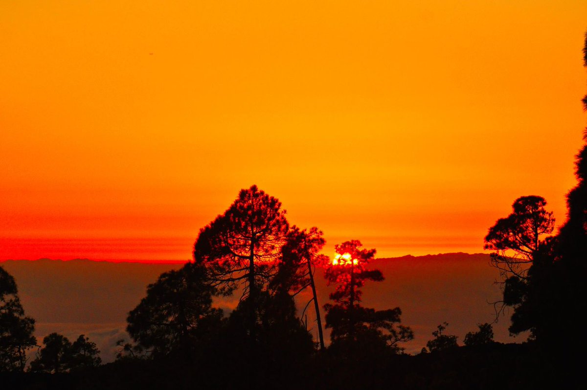 Wag2kP's tweet photo. Another #Stunning  #sunset #teidenationalpark #tenerife https://t.co/KCqWlUi0w3