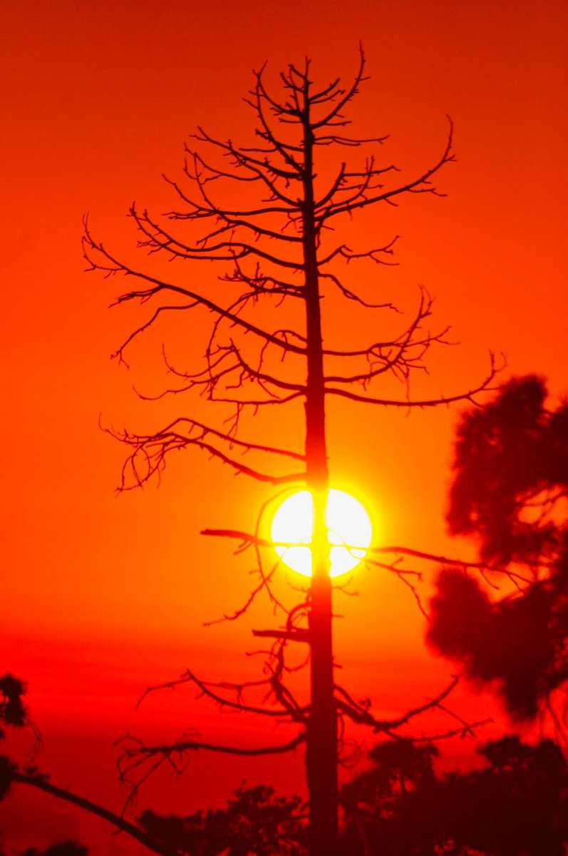 Wag2kP's tweet photo. Another #Stunning  #sunset #teidenationalpark #tenerife https://t.co/KCqWlUi0w3