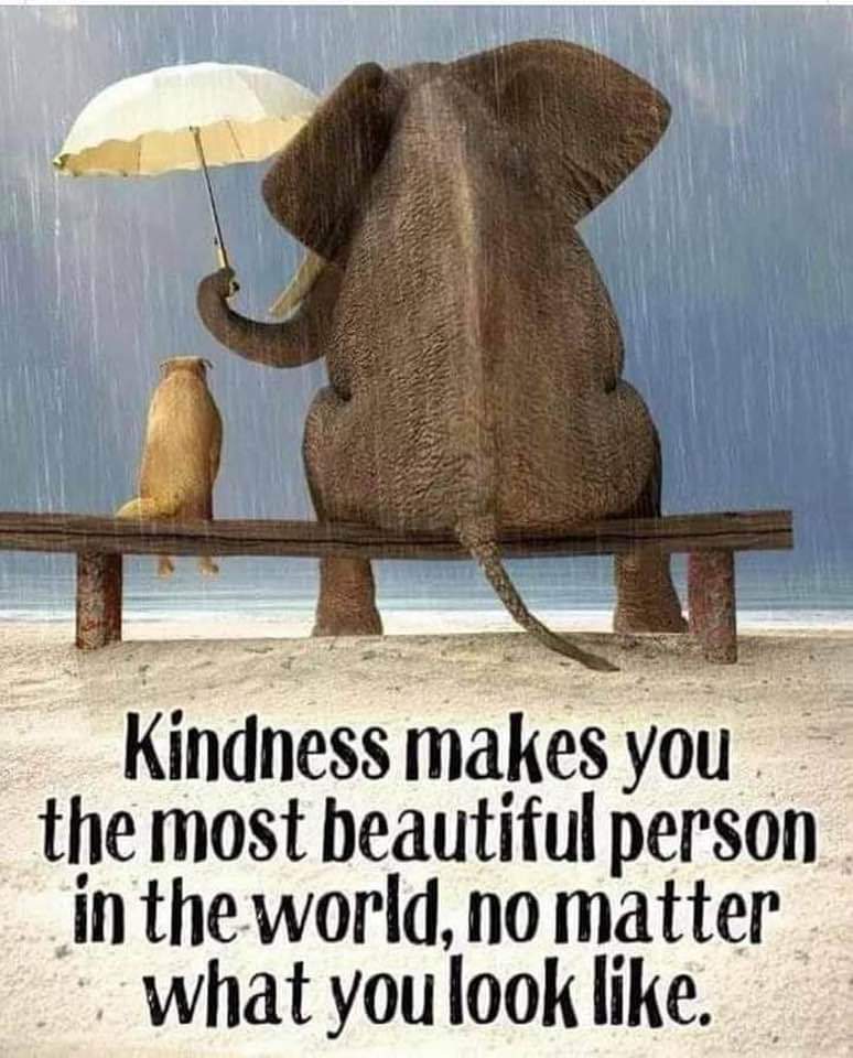 WeinsteinEdu's tweet photo. Love this! 🧡 https://t.co/diWDiihKrX