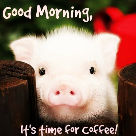 mabellina79's tweet photo. 🌞 Good morning! May your day be filled with good thoughts, kind people, and happy moments🥰. #morning #happy #saturday #peeps https://t.co/H6kpJ1HNef