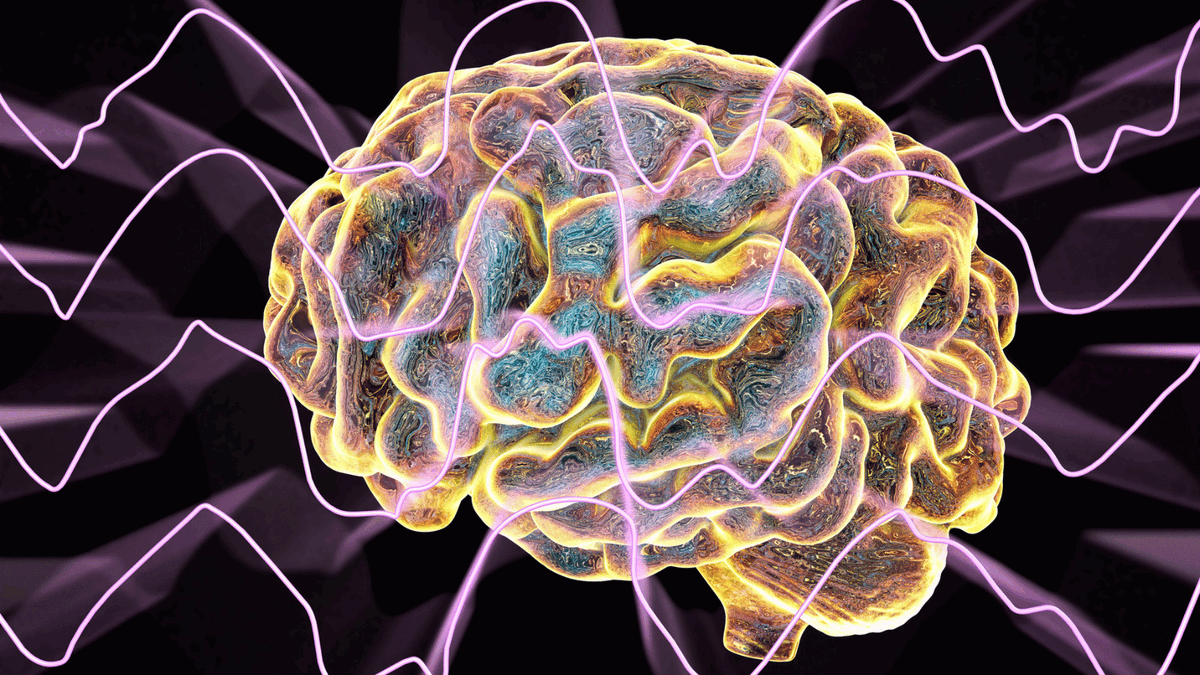 InsideThe_Brain's tweet photo. Happy #WorldBrainDay🧠

Your brain is the command center that powers your thoughts, memories, emotions, and actions. As we age, it's increasingly important to take care of your #brainhealth to maintain cognitive function and prevent age-related decline.

https://t.co/oEbnnmftOA https://t.co/waggq9Ijf8