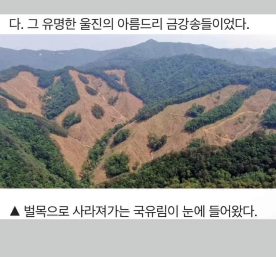 ZlpRXx2UJp1RITV's tweet photo. 문재인 이 개쉑히를 어찌하면 좋을꼬. 전국의 아름다운 숲을 가는 곳마다 이처럼 파헤쳤으니...이건 과거 일제가 우리나라를 약탈하던 것보다 더 악날하지 않는가?! https://t.co/InnXBYC1cn