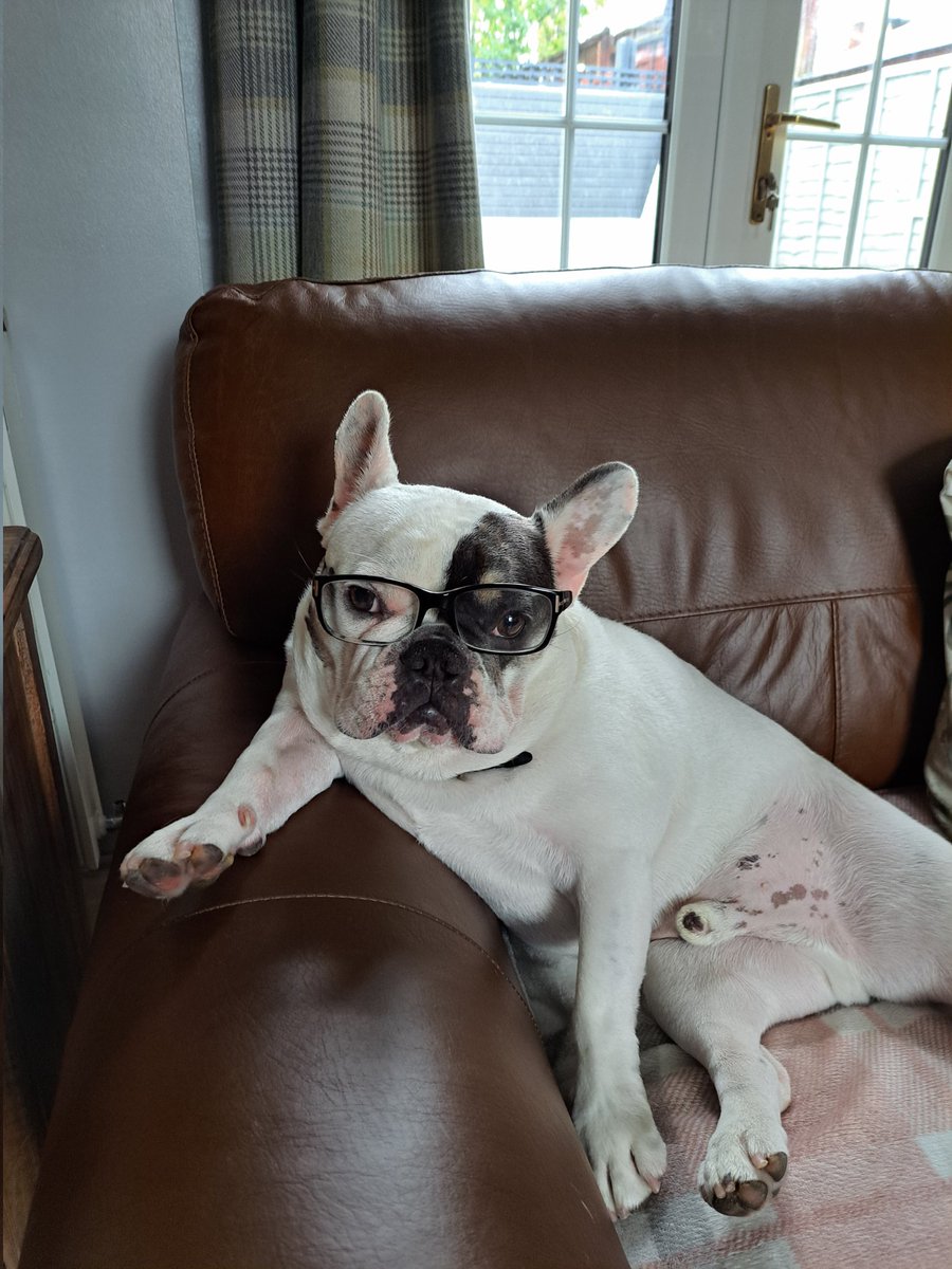 Rupert Einstein, in his intellectual mood #gogglebox #frenchielover