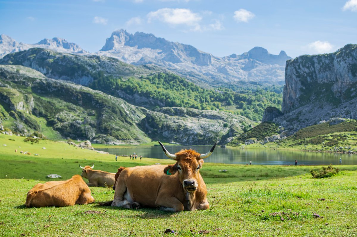NickLovesSpain's tweet photo. Perhaps my favorite thing about Spain:

Is that every place you visit is life-changing in its own way.

Here are all 17 regions of Spain and what to expect in each one:

(a 🧵) https://t.co/tXFygZz3Ek