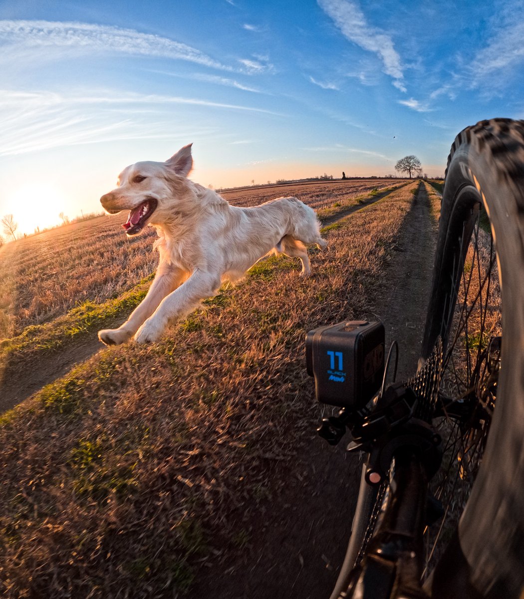 Flash sale 🤑 #GoProHERO11 Black Mini is just $199 for a limited time. The most-powerful, tiny camera is calling.

📷 #GoProAwards recipient Luca Martinis

#GoPro #GoProMoto #HyperSmooth #4x4 #OffRoading #Sale #Shopping #Deals #InstaDeals