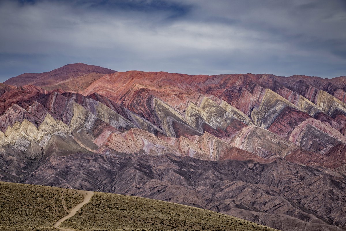 Grete Howard tweet media