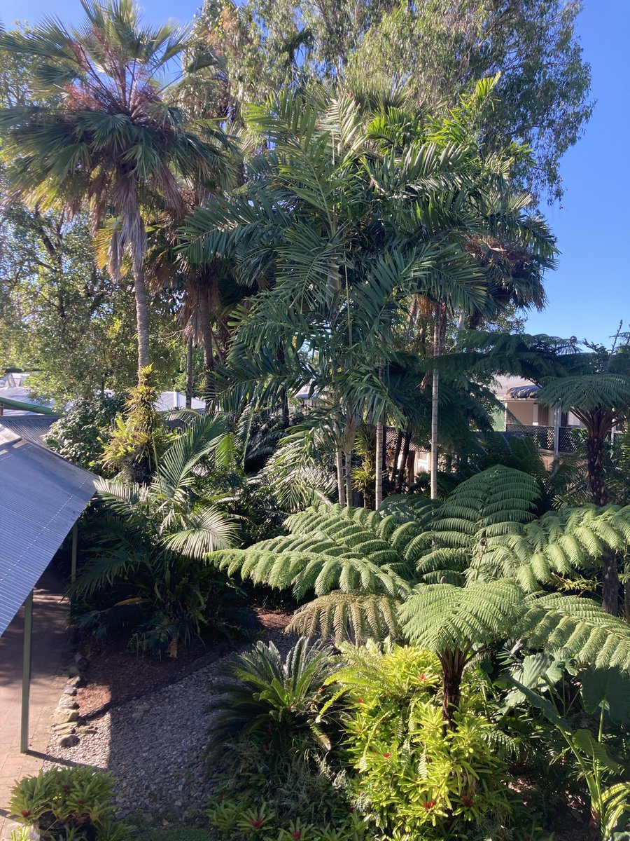 We look forward to welcoming attendees at the conference venue for #APDRC6 in sunny and lush Cairns, Australia. The conference will kick off tomorrow arvo, registration begins 2.30pm.