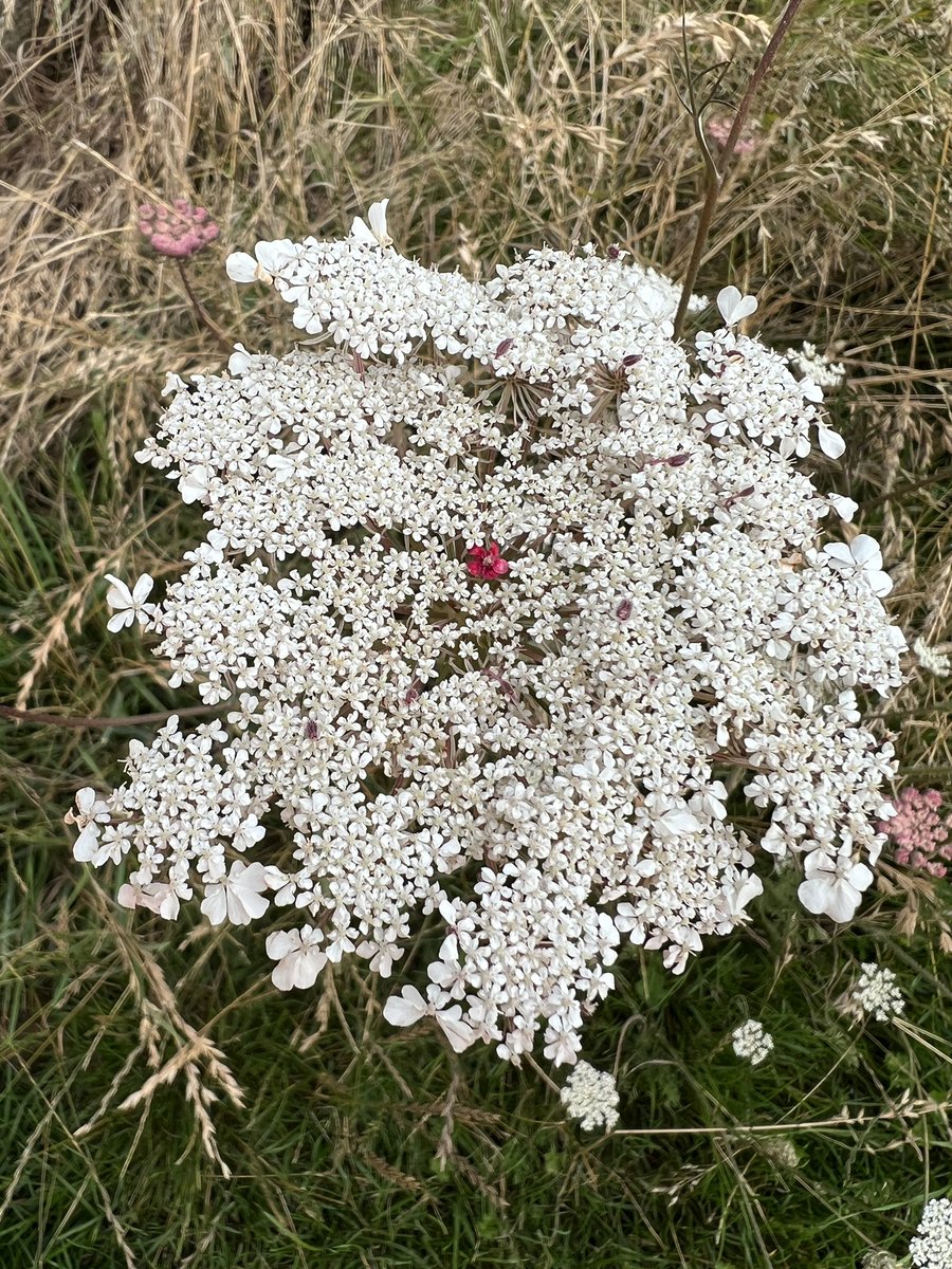 Simon Harding tweet media