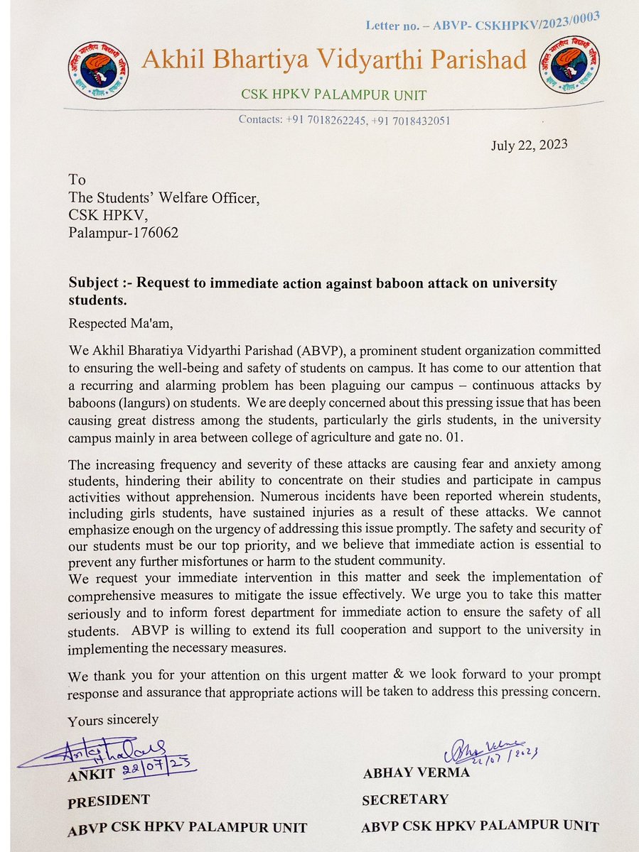 Abvp4cskhpkv's tweet photo. Today, ABVP HPAU Palampur unit submitted a letter to the Student Welfare Officer requesting immediate action regarding the increasing attacks of baboons (langurs) on the students of the university.
#abvp4cskhpkv #cskhpkv #palampur #baboons #studentssecurity https://t.co/WEtnFcqLtB