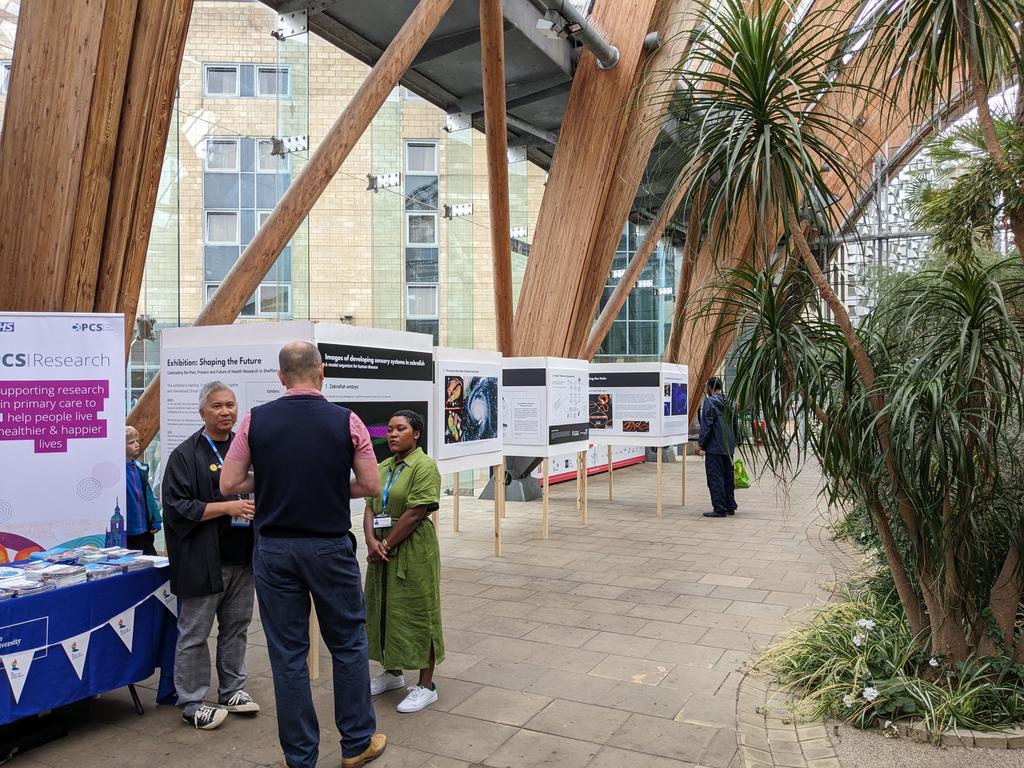 Things are in full swing at our #NHS75 event 'Shaping the Future' in the @sheffcitycentre Winter Gardens

Come down &amp; learn all about the amazing health research taking place in Sheffield - we're here until 3pm 
#BePartOfResearch