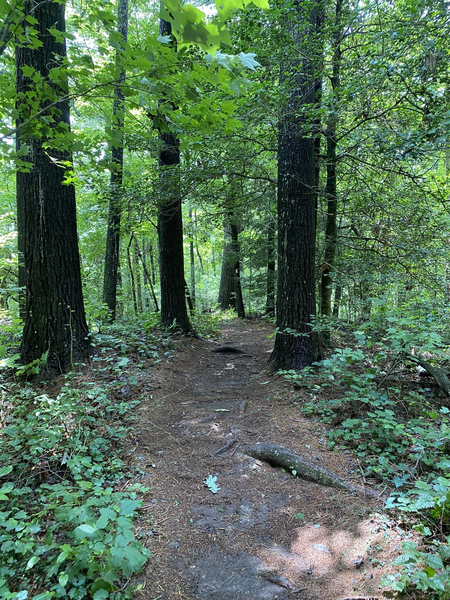 Eric Reiter tweet media