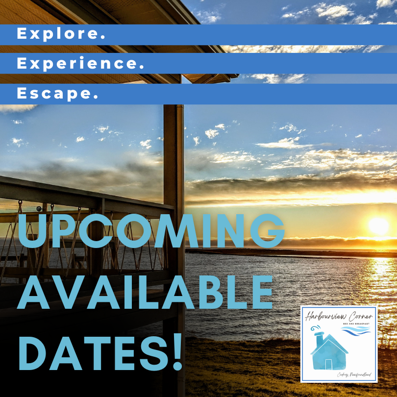 Harbourview_NL's tweet photo. Come and stay! We still have some dates available this summer.

August 15th - 20th
August 26th - September 4th

https://t.co/cE6vMjCnMI 

#HarbourviewCornerBnB #Codroy #CodroyValley #ExploreNL #GoWesternNL https://t.co/pGyfWPCtGz