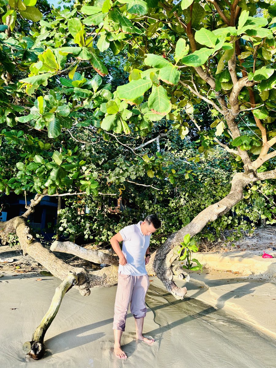 zahran93's tweet photo. Far far come, dip dip feet little only. 🤣

Malay Translation :

Jauh jauh datang, celup celup kaki sikit je 🤣

#directtranslation #healing #justkidding #jokes https://t.co/JkQknFd99S