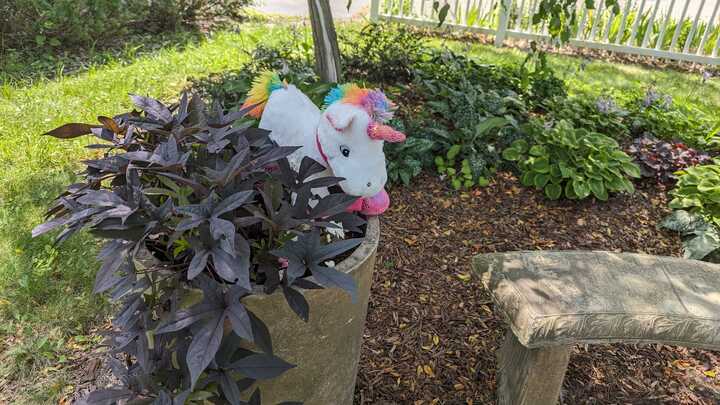 GeneseeLibrary's tweet photo. The Stuffed Animal Crew spent this morning in the William F. Delaney Headquarters garden, and took a nice photo. It's amazing the friends you can make at Sleepaway Camp!

Now we are going to start heading towards Fenton so all of our Stuffed Animal friends can go back home. https://t.co/bQvza2uKfn