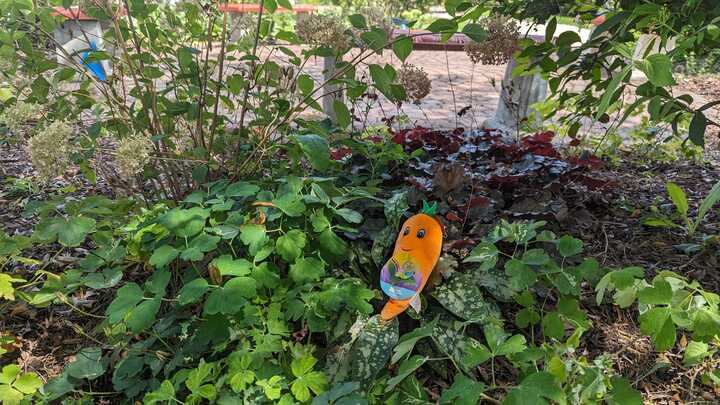 GeneseeLibrary's tweet photo. The Stuffed Animal Crew spent this morning in the William F. Delaney Headquarters garden, and took a nice photo. It's amazing the friends you can make at Sleepaway Camp!

Now we are going to start heading towards Fenton so all of our Stuffed Animal friends can go back home. https://t.co/bQvza2uKfn