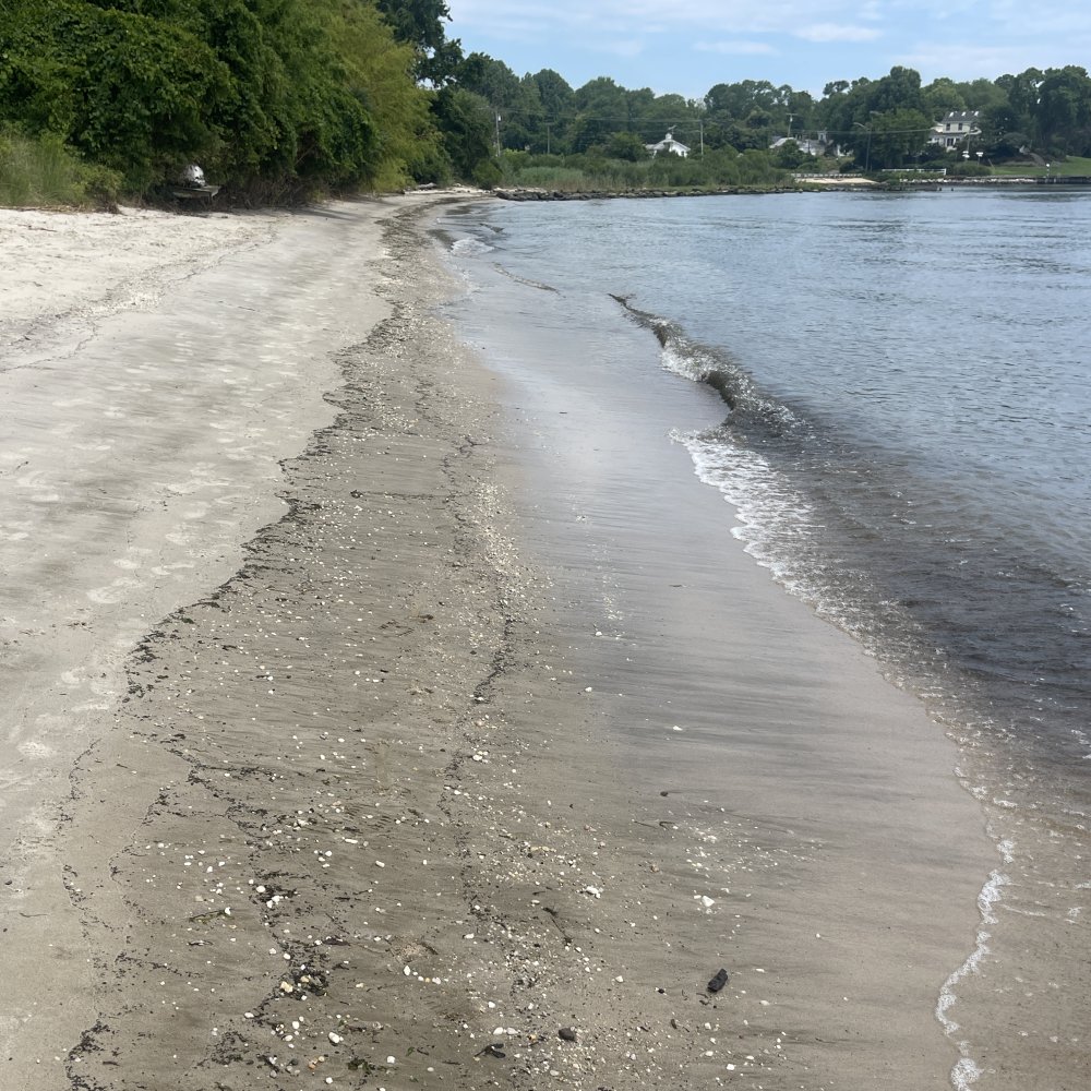 AAHealth_Water's tweet photo. Latest Recreational #WaterQuality Report for #AnneArundel County #HealthyBeaches. #ChesapeakeBay, #MagothyRiver, #PatapscoRiver, Rhode River, #SevernRiver, South River, West River, Stoney Creek, Weems Creek. https://t.co/QUJH4LWdDC https://t.co/lpM54D1xCl